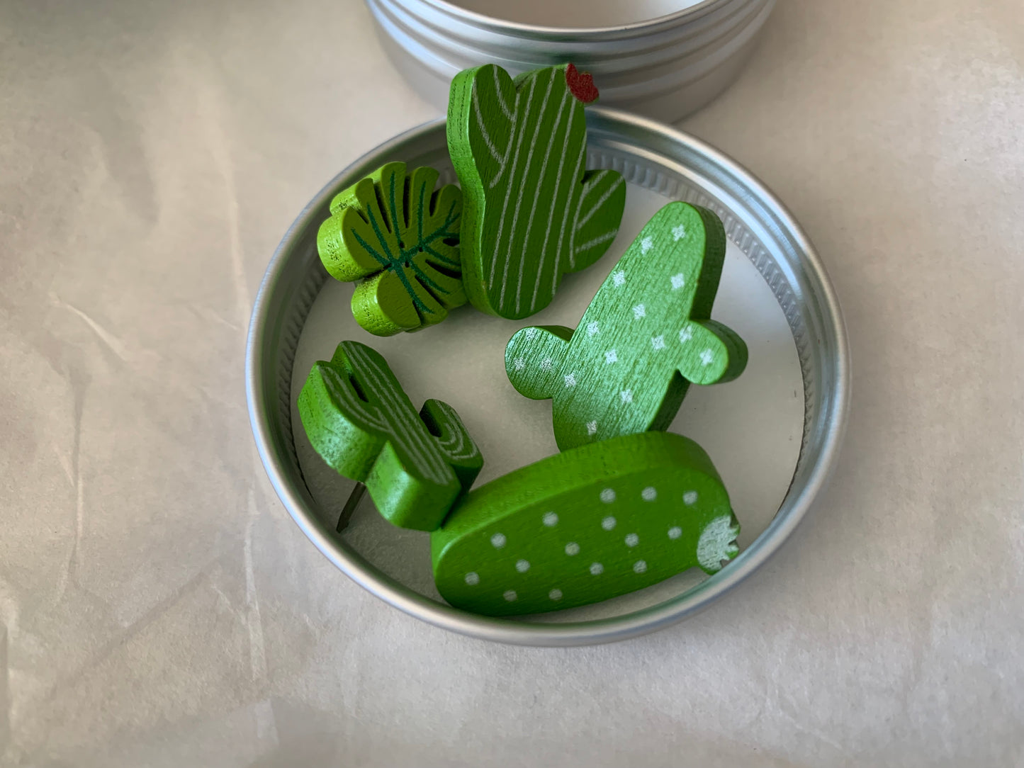 Cactus Gift Box