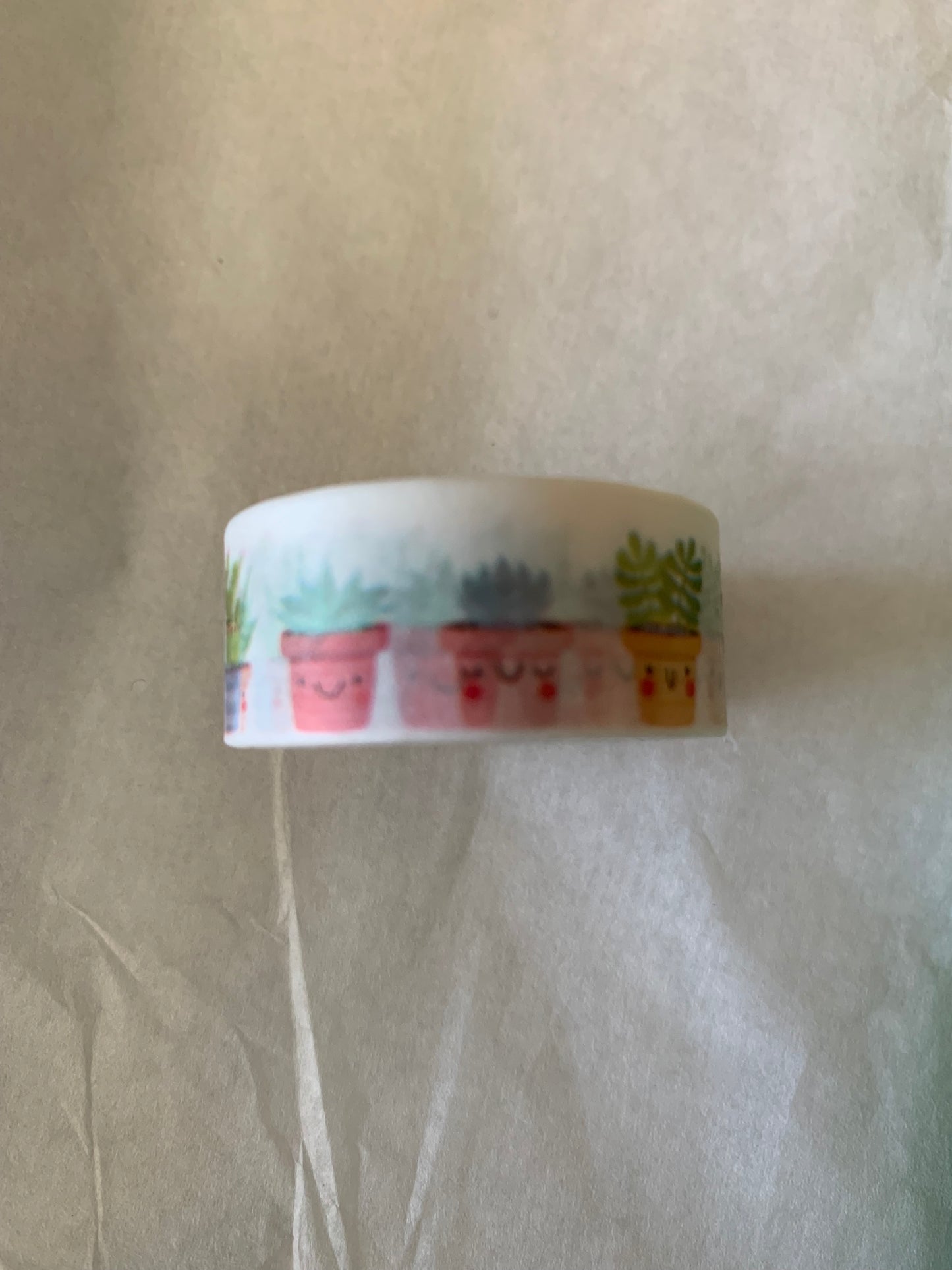 Cactus Gift Box